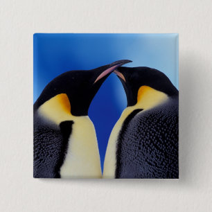 Badge Carré 5 Cm Antarctique, Manchots empereurs