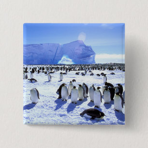 Badge Carré 5 Cm Antarctique, péninsule Antarctique, mer de Weddell