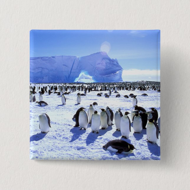 Badge Carré 5 Cm Antarctique, péninsule Antarctique, mer de Weddell (Devant)