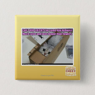 Badge Carré 5 Cm Appel 1-800-LOLCATS