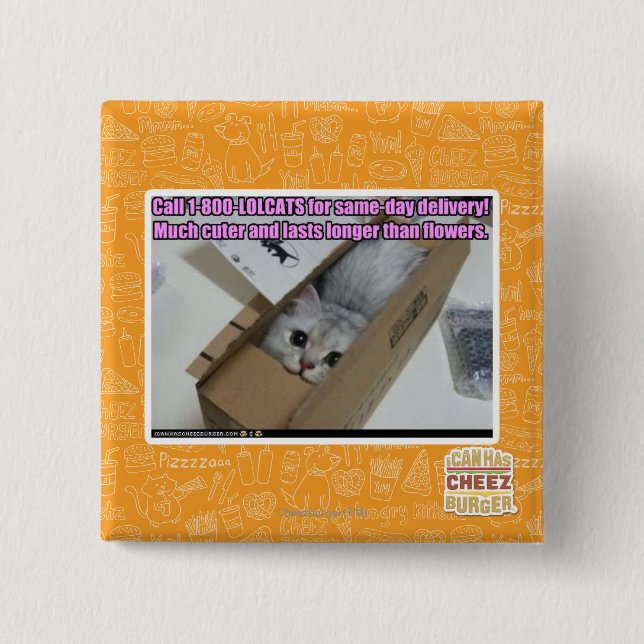 Badge Carré 5 Cm Appelez 1-800-LOLCATS (Devant)