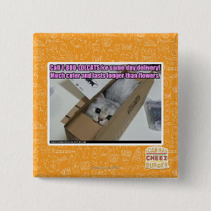 Badge Carré 5 Cm Appelez 1-800-LOLCATS