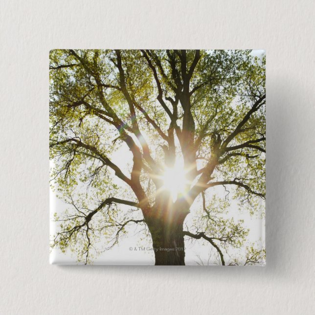 Badge Carré 5 Cm Arbre ensoleillé (Devant)