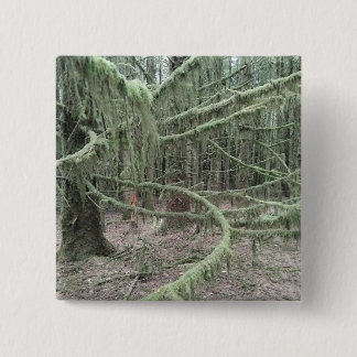 Badge Carré 5 Cm Arbres Mousses Dans La Forêt Galloise 2025
