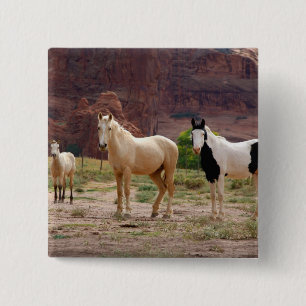 Badge Carré 5 Cm Arizona, réserve indienne navajo, Chinle,