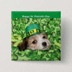 Badge Carré 5 Cm Arrière - plan chiot irlandais mignon