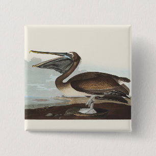 Badge Carré 5 Cm Art Vintage d'Oiseau Marin Côtiers Pélican Brun d'