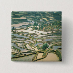 Badge Carré 5 Cm Asie, Chine. Rizières inondées près de Nano