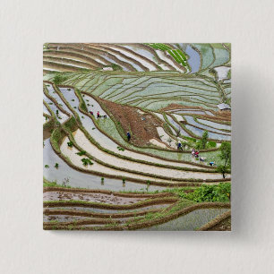 Badge Carré 5 Cm Asie, Chine, Yunnan, Jinping. Personnalité autocht