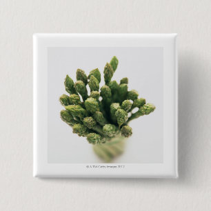 Badge Carré 5 Cm Asperges vertes