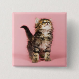 Badge Carré 5 Cm Assez dans le chaton rose