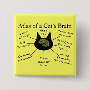 Badge Carré 5 Cm Atlas du cerveau d'un chat