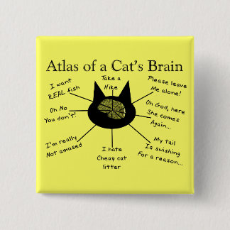 Badge Carré 5 Cm Atlas du cerveau d'un chat