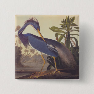 Badge Carré 5 Cm Audubon Lousiana Heron sur le Marais Côtier