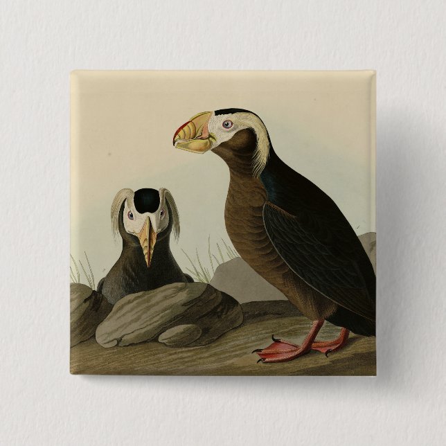Badge Carré 5 Cm Audubon (Puffin) - Audubon's Birds of America (Devant)
