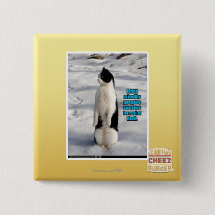 Badge Carré 5 Cm Augmenté par des pingouins