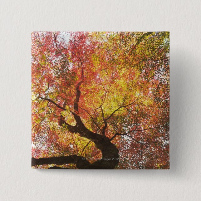 Badge Carré 5 Cm Automne (Devant)
