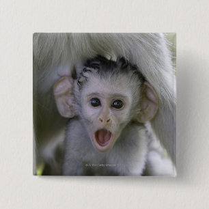 Badge Carré 5 Cm Babouin de bébé sous sa mère