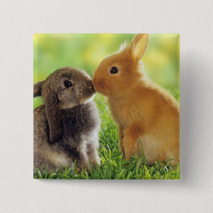 Badge Carré 5 Cm Baiser de lapin