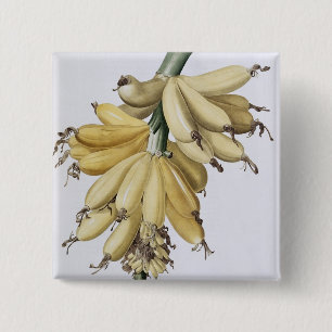 Badge Carré 5 Cm Banane, 1816