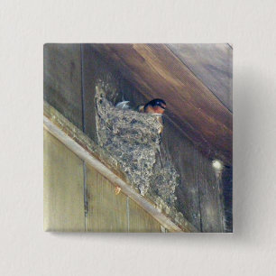 Badge Carré 5 Cm Barn Swallow Series