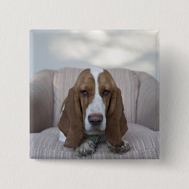 Badge Carré 5 Cm Basset Hound (Devant)