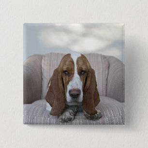 Badge Carré 5 Cm Basset Hound