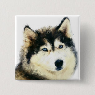 Badge Carré 5 Cm Beau Bouton à épingle - Sibérien Husky