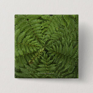 Badge Carré 5 Cm Beau détail de jeune arbre de fougère de ponga