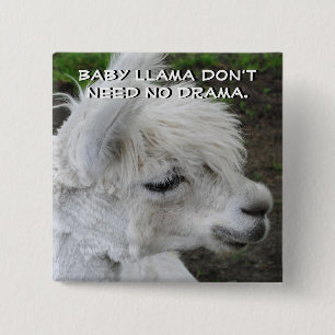 Badge Carré 5 Cm Bébé Llama pas besoin de drame