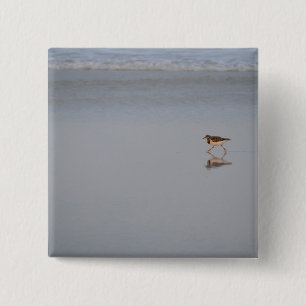 Badge Carré 5 Cm Bécasseau Longeant La Plage