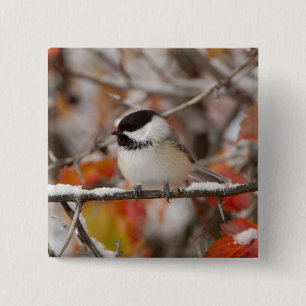 Badge Carré 5 Cm Bécasseau noir adulte en neige