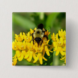 Badge Carré 5 Cm Bee Feasting on Butterfly Weed Wildflowers