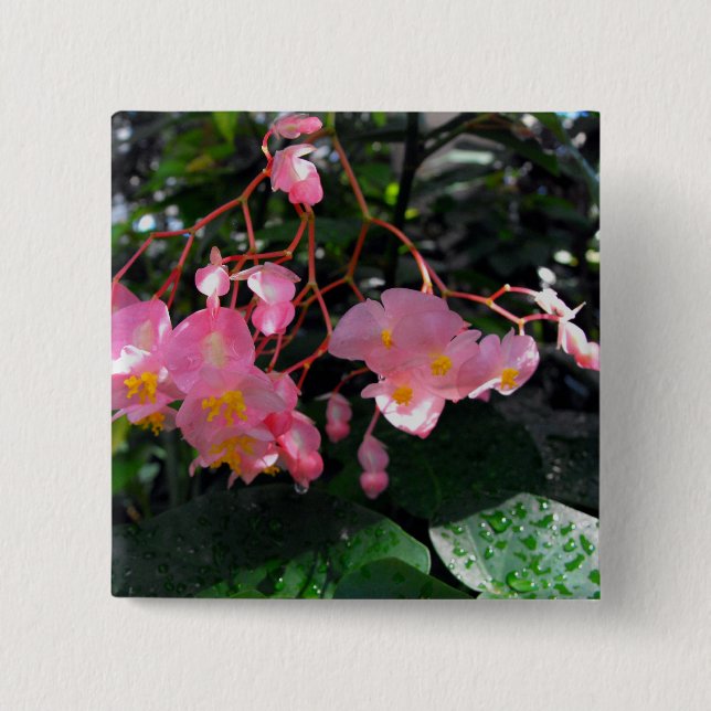 Badge Carré 5 Cm Bégonias d'aile d'ange (Devant)