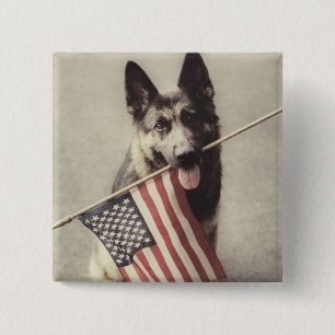 Badge Carré 5 Cm Berger allemand avec drapeau américain