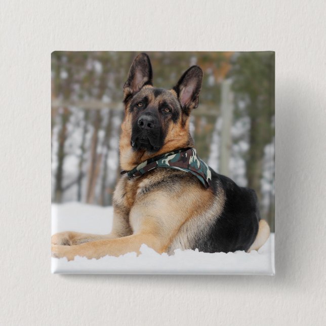 Badge Carré 5 Cm Berger Allemand En Neige (Devant)