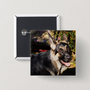 Badge Carré 5 Cm Berger Allemand par Shirley Taylor