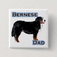 Bernese Papa 4 - Bouton