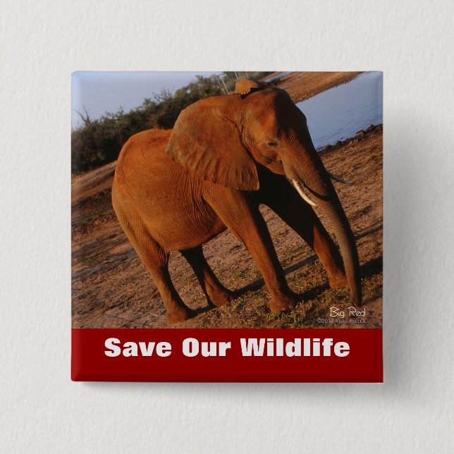 Badge Carré 5 Cm Big Red Sauver notre faune (Devant)