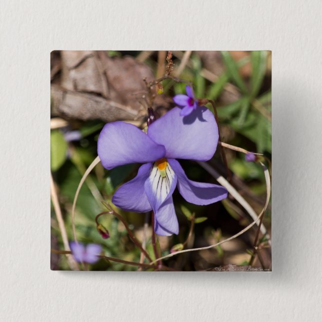 Badge Carré 5 Cm Birds-Foot Violet w/ Bluets (Devant)