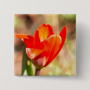 Badge Carré 5 Cm Blossom de la tulipe rouge