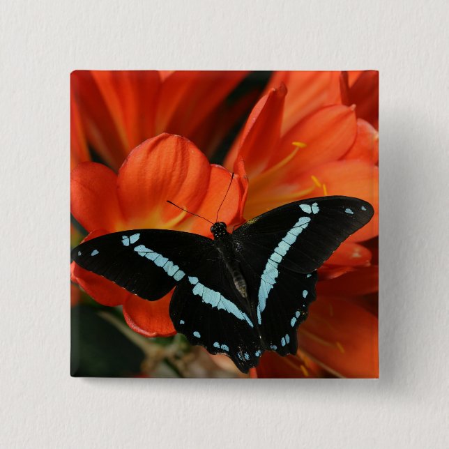 BADGE CARRÉ 5 CM BLUEY (Devant)