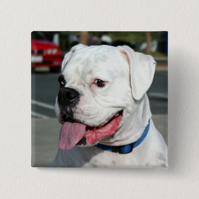 Badge Carré 5 Cm Bouton blanc de boxeur (Devant)