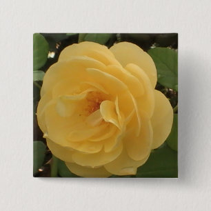 Badge Carré 5 Cm Bouton Camellia Jaune