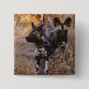Badge Carré 5 Cm Bouton carré Chiens sauvages