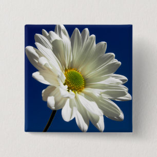 Badge Carré 5 Cm Bouton carré de marguerite