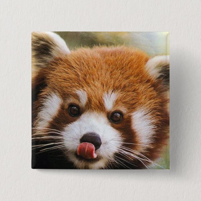 Badge Carré 5 Cm Bouton carré de panda rouge (Devant)