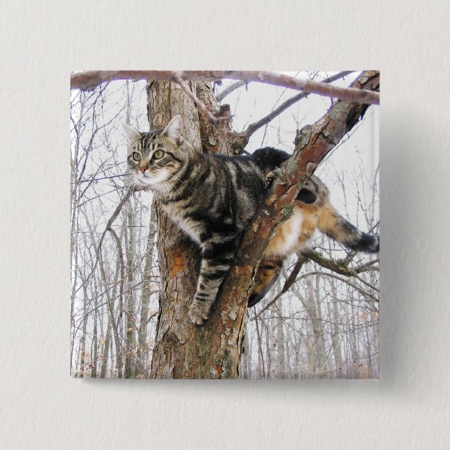 Badge Carré 5 Cm Bouton carré Tabby Cat (Devant)