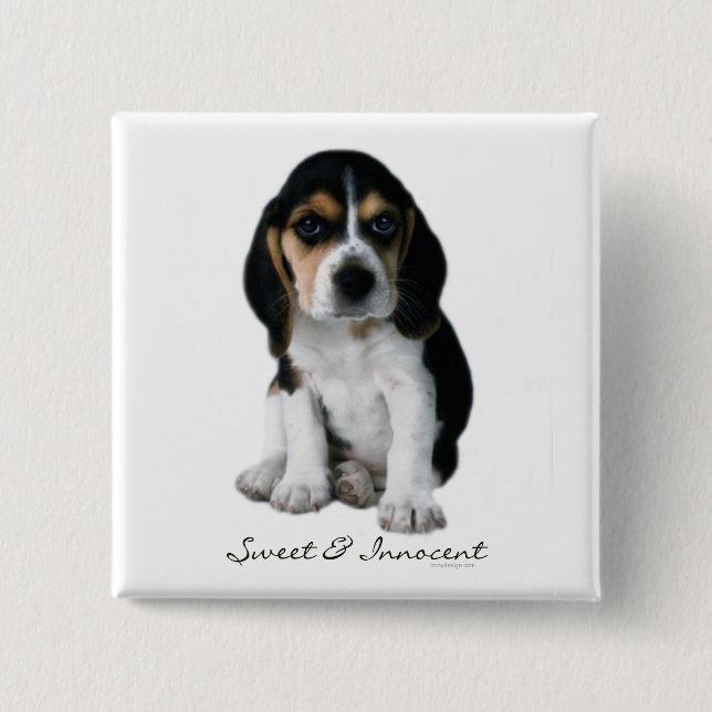 Badge Carré 5 Cm Bouton Chien Chien beagle (Devant)