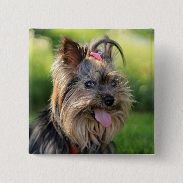 Badge Carré 5 Cm Bouton Chien mignon 7 (Devant)